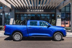 Great Wall Motors Cannon (5)