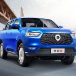 Great Wall Motors Cannon (7)