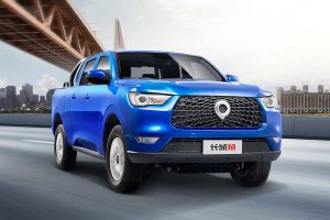 Great Wall Motors Cannon (7)