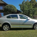 Skoda-Octavia-1.6-MPI-2008-(5)