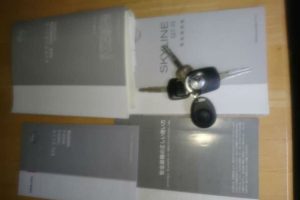 nissan skyline r34 nur spec 6