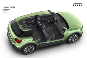 Audi-SQ2-2020-(6)