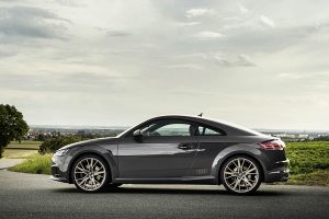 -Audi-TT-and-TTS-bronze-selection-(2)