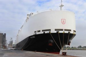 Volkswagen-car-freighters-(6)