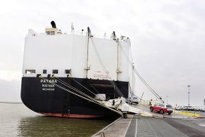 Volkswagen-car-freighters-(7)