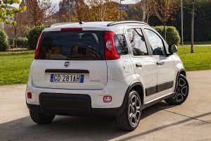 Fia-Panda-City-Life-2