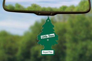 Little-Trees-Car-refresher-1