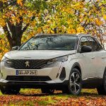 Peugeot-3008-2020-(7)