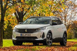 Peugeot-3008-2020-(7)