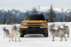 ford bronco sport goat