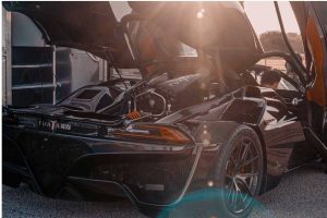 ssc-tuatara-averages-282 3