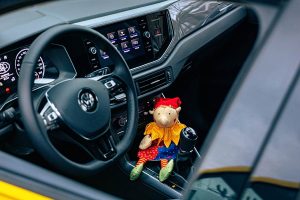 vw-polo-harlekin-2021-(1)