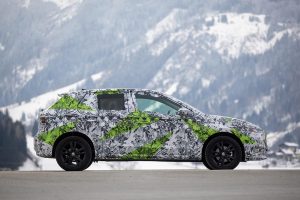 Skoda Fabia 2021 covered (5)