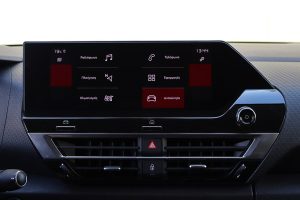 Citroen C4 C-Cross 1.5 BlueHDi (38)