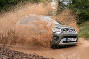 Large-5187-IgnisHybrid