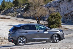 Peugeot 3008 1.5 BlueHDi 2021 (39)