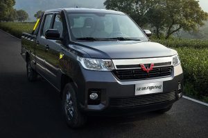 Wuling-Zhengtu-Pickup-(8)