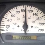 perissotera xiliometra