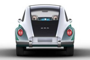 ORA-Punk-Cat-1-Beetle-copy3