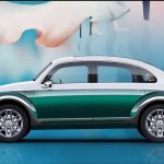 ORA-Punk-Cat-1-Beetle-copy5