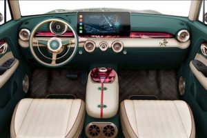 ORA-Punk-Cat-1-Beetle-copy6