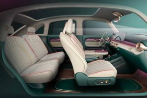 ORA-Punk-Cat-1-Beetle-copy7