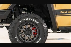 great wall baja snake 4