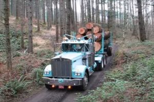 1974 kenworth w900