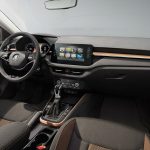 Skoda-Fabia-2021-(2)