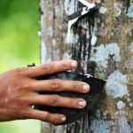 bmw x5 plug in certified tire 5