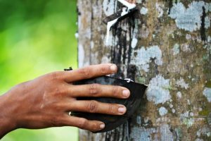 bmw x5 plug in certified tire 5