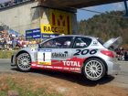 peugeot 206 wrc for sale