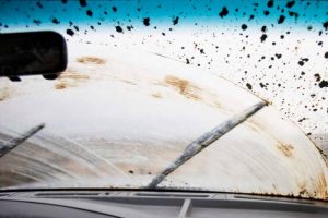 windshield wipers survey 2