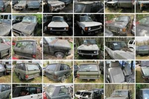 16 range rover classics for the price of 1