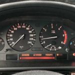 gyrismena xiliometra