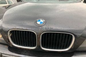 BMW_530d_E39_890_tkm (6)