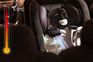 Ford-Rear-Occupant-1