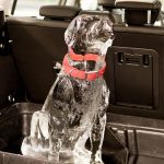 Ford-Rear-Occupant-2