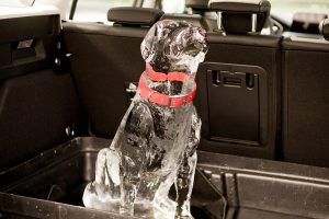 Ford-Rear-Occupant-2