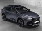 Lexus-NX-2021-(1)