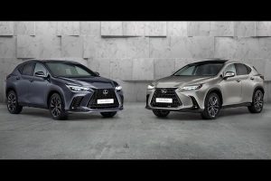 Lexus-NX-2021-(12)