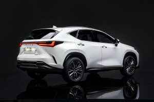 Lexus-NX-2021-(14)