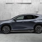 Lexus-NX-2021-(19)