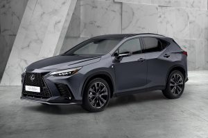 Lexus-NX-2021-(20)