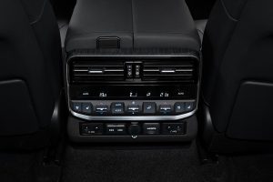 Toyota-Land-Cruiser-2021-(9)