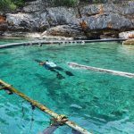 hyundai-world-oceans-day-2021-04_wid_1024