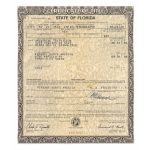 miami-vice-ferrari-testarossa-to-be-temporarily-di (4)