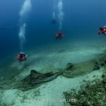 Hyundai-Healthy-Seas-2