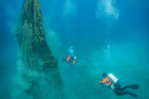 Hyundai-Healthy-Seas-4