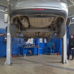 lada service vaccine sales 3